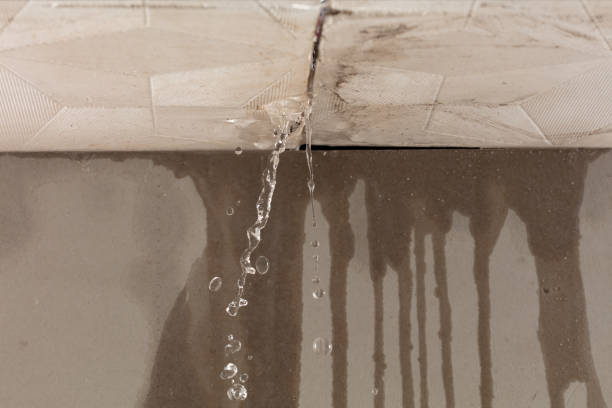Professional Flood Damage Cleanup technician working in Girard, IL